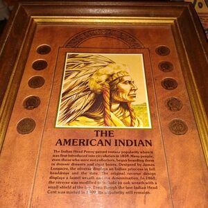 Indian Penny Collage